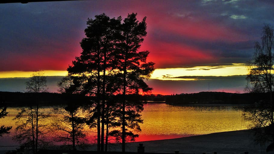 sunset, lake, wood, water, sky, tree, beauty in nature, tranquility HD wallpaper