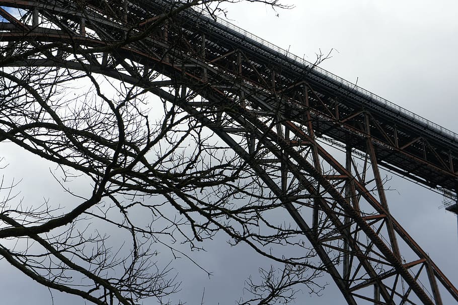 bridge, aesthetic, tree, branches, sky, leaves, spring, nature HD wallpaper