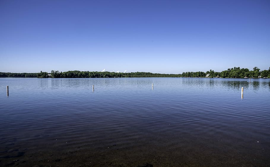 Across the Lake in Northern Wisconsin, photo, landscape, outdoors, HD wallpaper