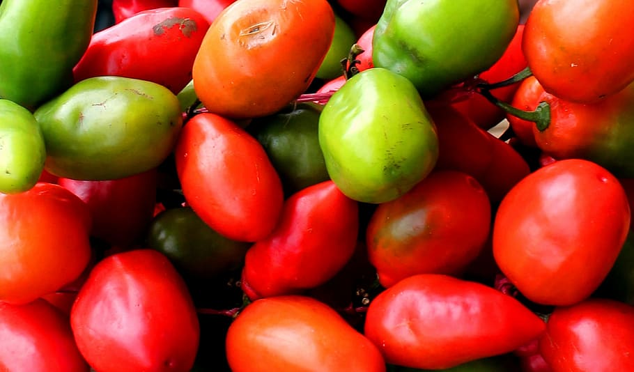 red pepper, chilli, chilli pepper, spice, cabe bromo, indonesia HD wallpaper