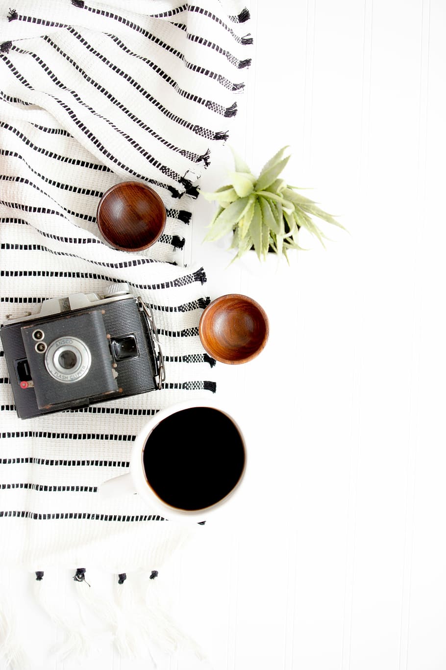black and gray camera beside on brown wooden bowls, camera beside two bowls and succulent plant HD wallpaper