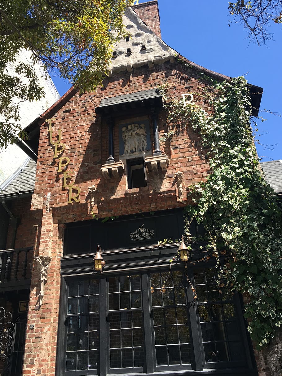 berkeley, california, store, architecture, built structure HD wallpaper