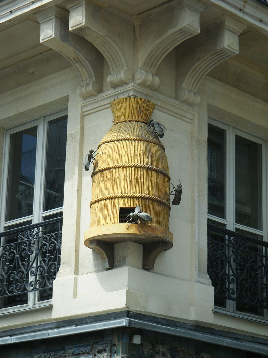 Bees, Honey, Beekeeping, Building, kamienica, sculpture, wall decoration HD wallpaper