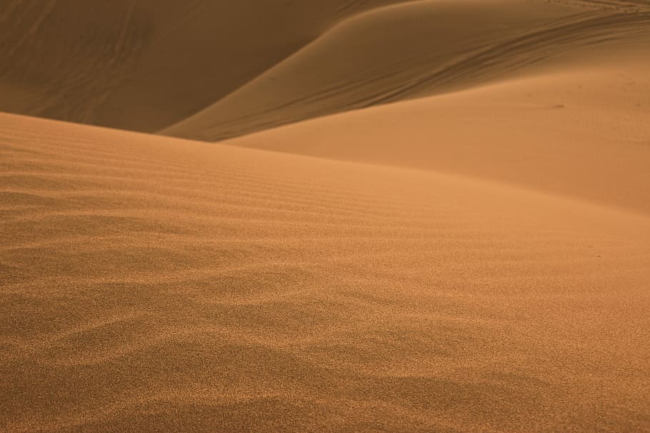 brown desert, sand dunes, ripple, tan, land, landscape, environment HD wallpaper