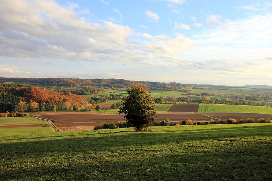 landscape, autumn, weser uplands, tree, field, meadow, sky, HD wallpaper