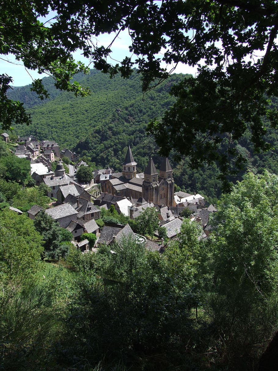 conques, aveyron, abbey, pilgrimage, church, tree, plant, architecture HD wallpaper