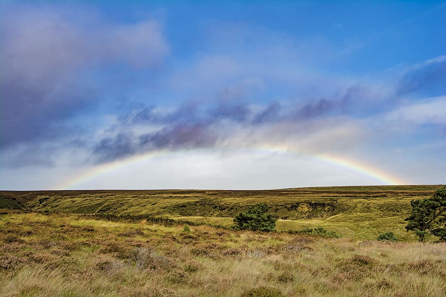 green grass meadow during daytime, landscape photography of rainbow HD wallpaper