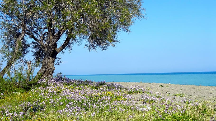 Sky, Earth, Sea, nature, scenics, tranquil scene, grass, beauty in nature HD wallpaper