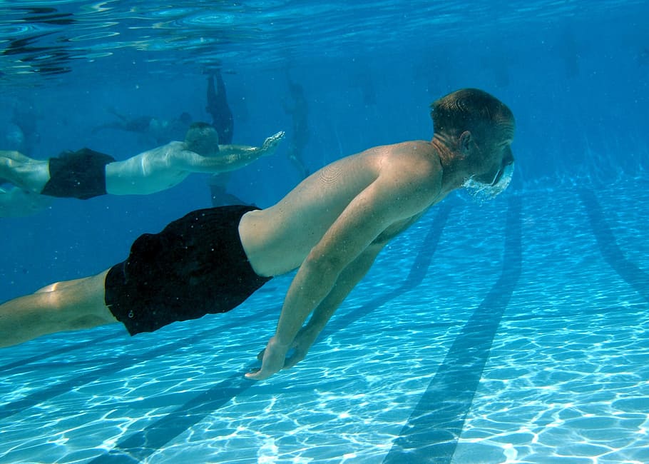 man diving on Olympic pool, swimming, water, underwater, exercising HD wallpaper
