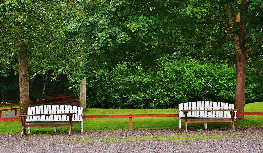 bench, park, sit, rest, wood, landscape, tree, green, leaf HD wallpaper