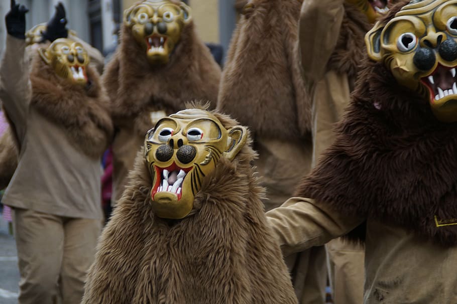 lion, tiermaske, animals, strassenfasnet, fools jump, swabian alemannic, HD wallpaper