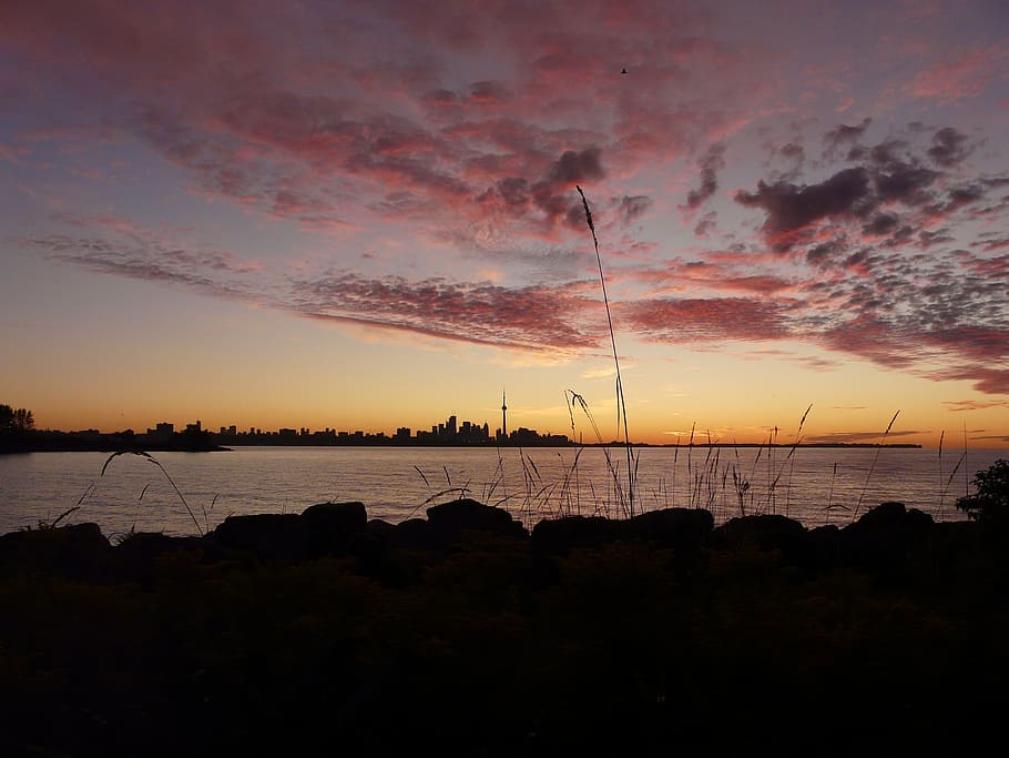 toronto, lake, canada, ontario, skyline, water, sunrise, clouds HD wallpaper