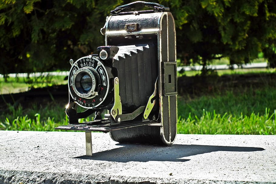 camera, retro, photo, monument, sunlight, plant, nature, day HD wallpaper