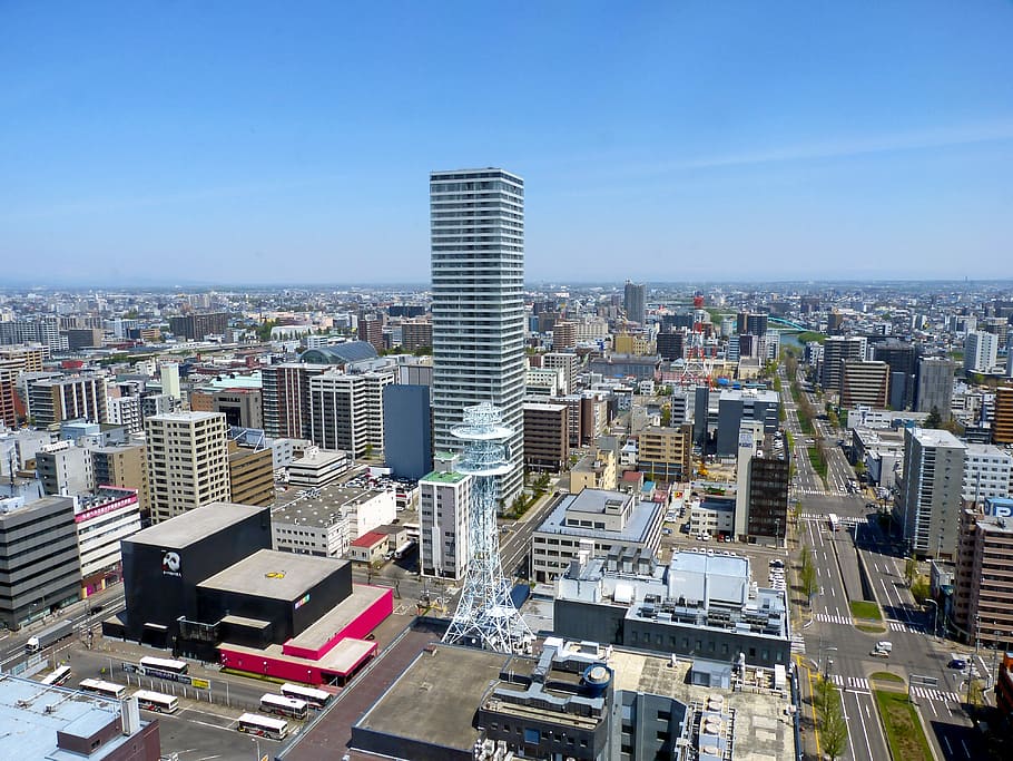 aerial photography of city, japan, sapporo, hokkaido, panoramic view, HD wallpaper