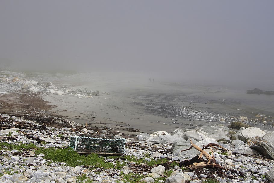 fog, beach, nature, sand, water, natural, foggy, outdoors, damp HD wallpaper