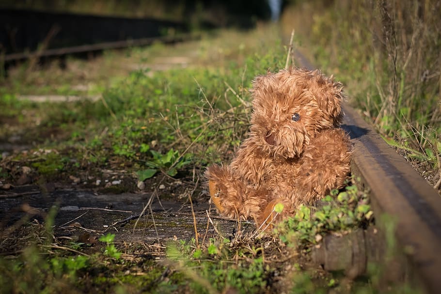 old, teddy, bear, lonely, childhood, loneliness, rail, track HD wallpaper