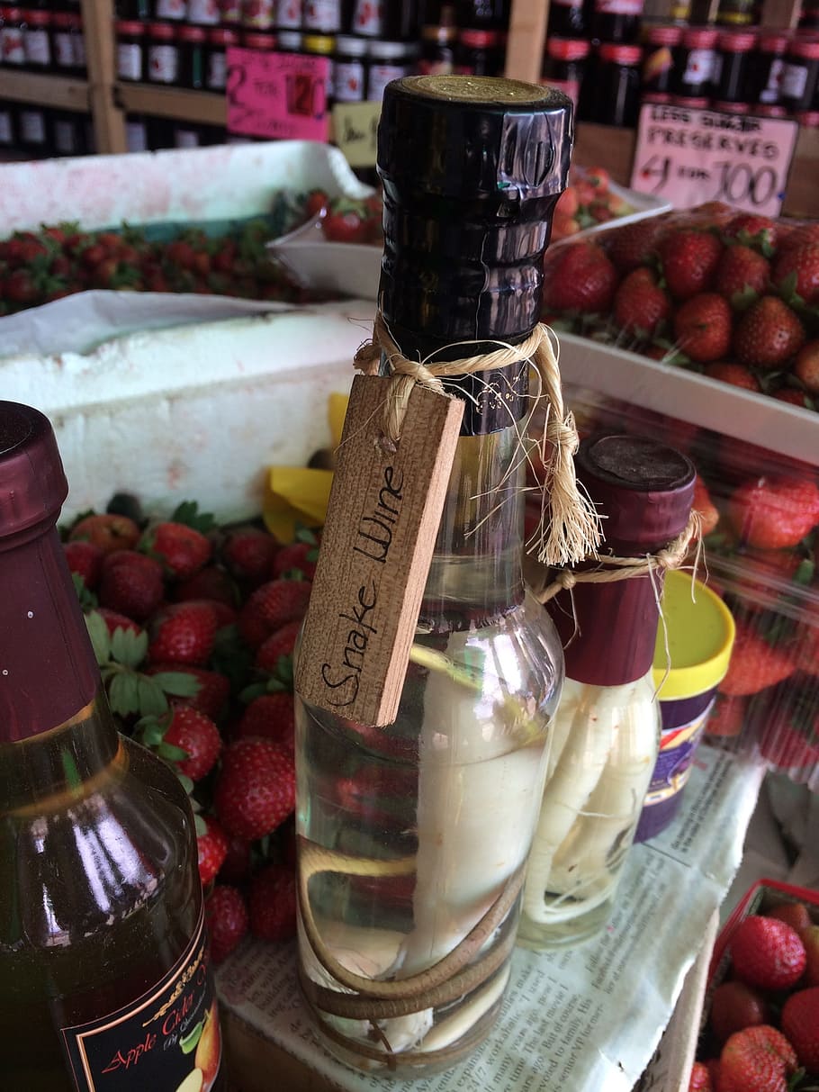 wine, snake, store, baguio, philippines, sell, sale, bottle HD wallpaper