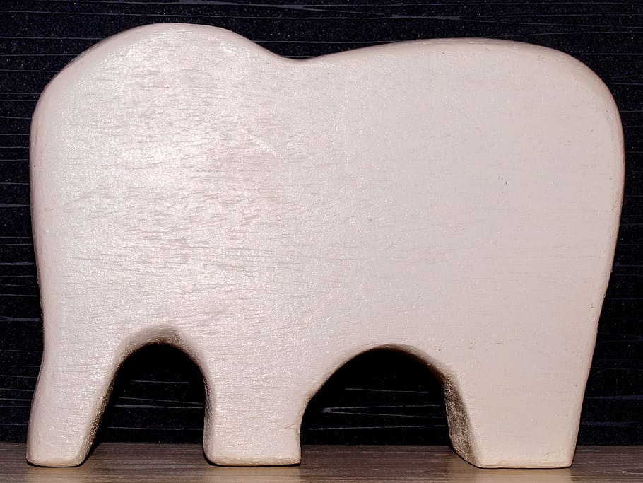 Elephant, White, Zoo, Pachyderm, proboscis, animal, mammal HD wallpaper