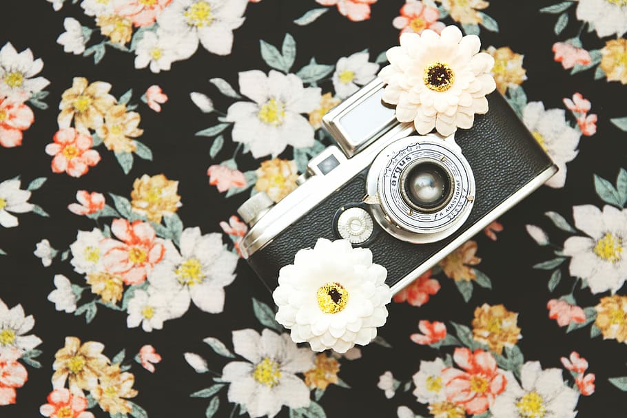 black and silver SLR camera with white flowers, gray and black compact camera on black and white floral cloth HD wallpaper
