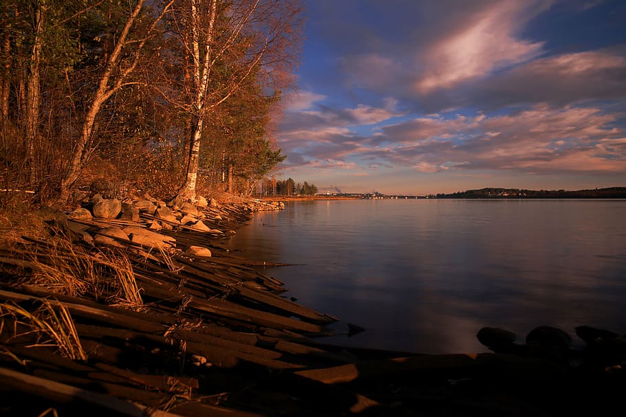 beach, sunset, evening, water, sky, lake, beauty in nature HD wallpaper