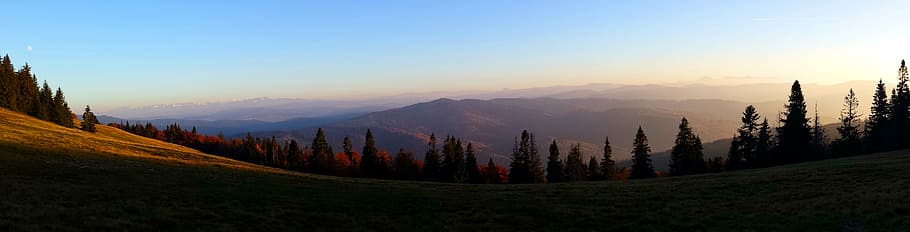 landscape photo of silhouette of pine trees at daytime, mountains HD wallpaper