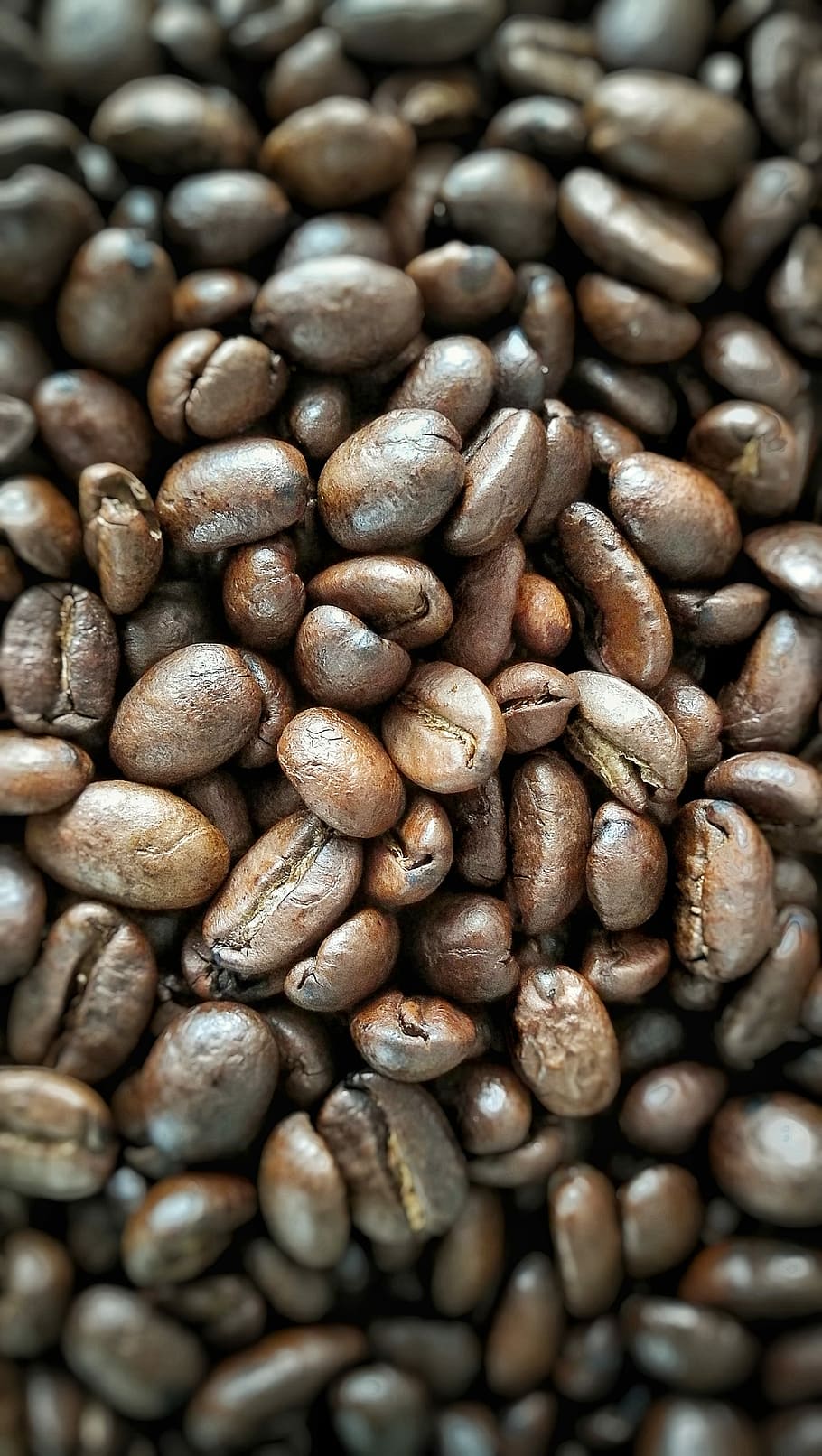 Beans, Coffee Bean, coffee beans, kitchen, stimulant, drink, HD wallpaper