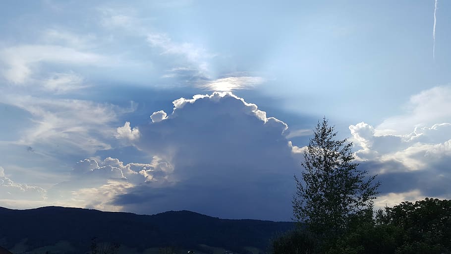 cloud, sky, romance, cloud - sky, tree, beauty in nature, plant HD wallpaper