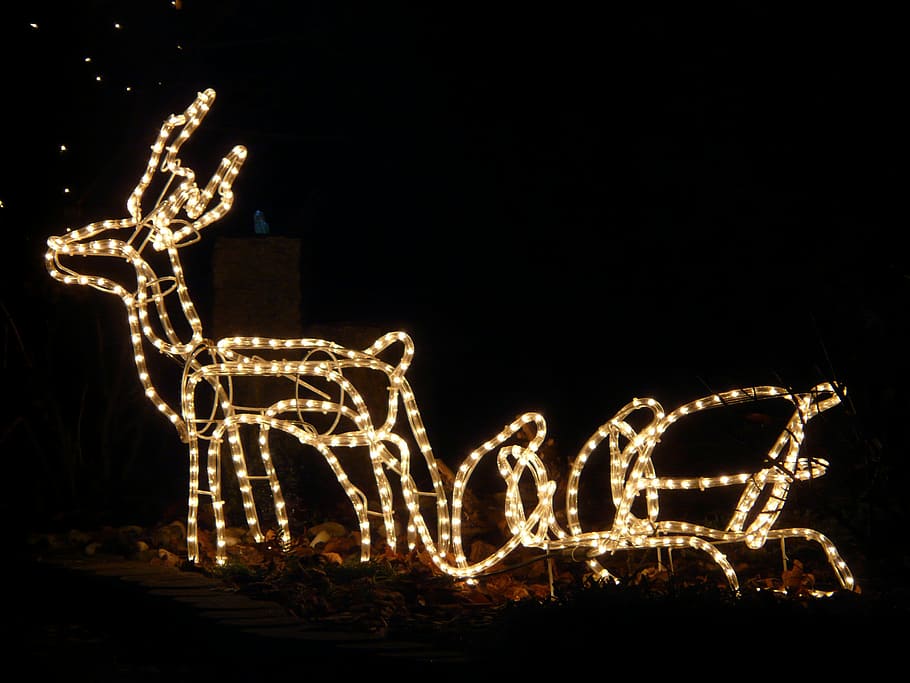 lichterkette, christmas, reindeer, moose, slide, winter, light, HD wallpaper