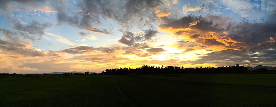 Phu Cat, Sunset, Scenery, Sky, the afternoon, field, rice fields HD wallpaper