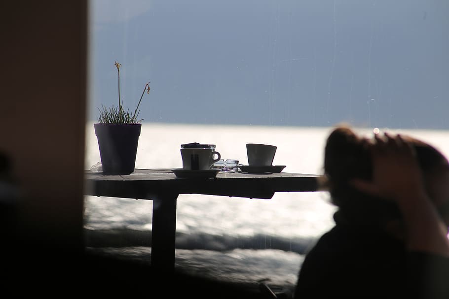 ocean, cup, horizon, potted plant, table, nature, window, indoors HD wallpaper