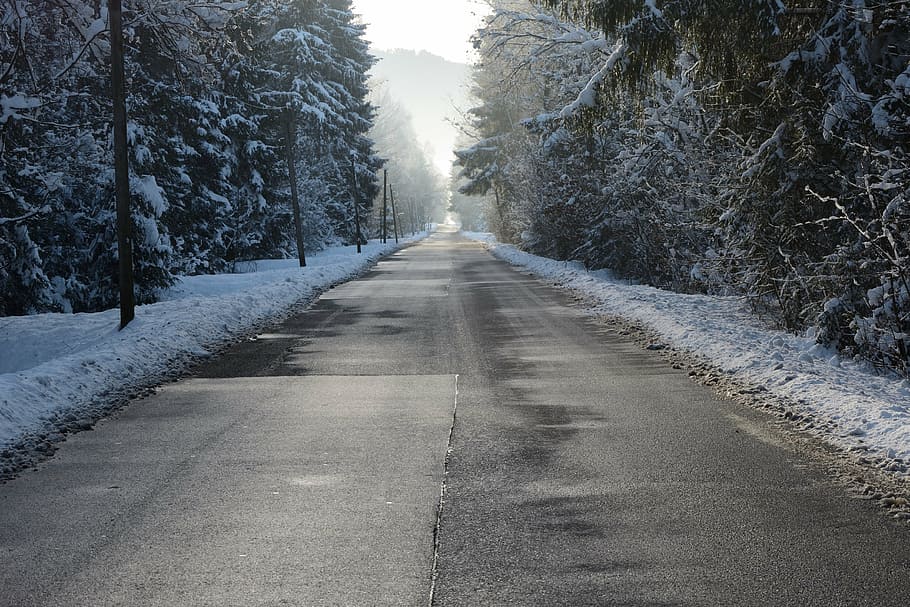 road, winter, snow, wintry, trees, forest, snowy, icy, nature HD wallpaper
