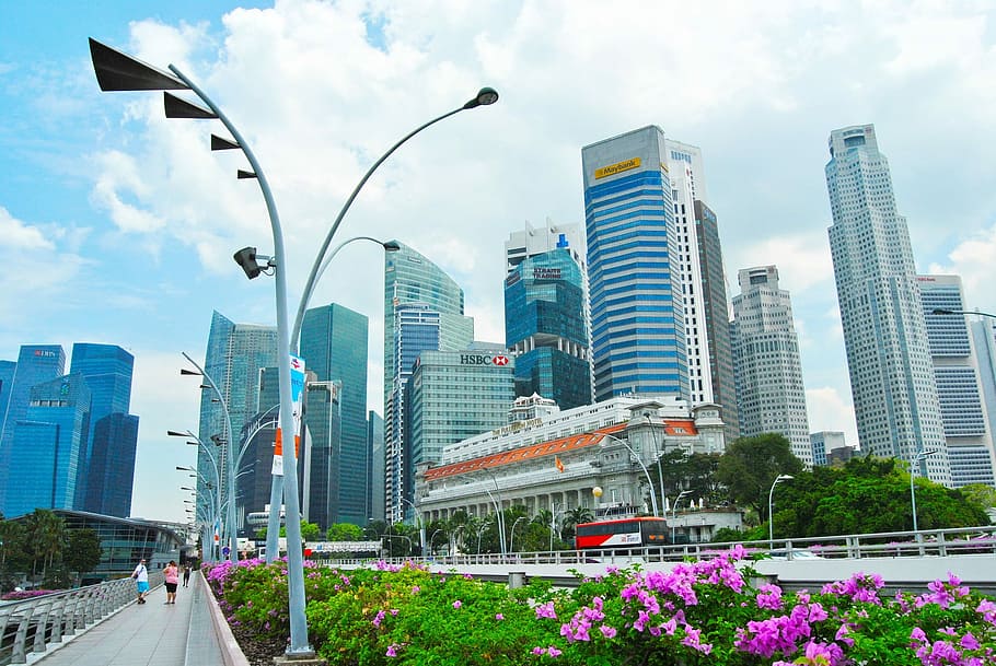 low angle photo of high rise buildings, cityscape, urban Skyline HD wallpaper
