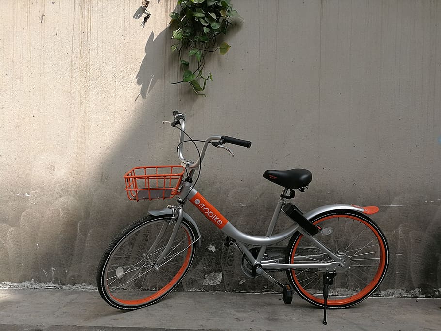 bicycle, mount worship, shared, traffic, environmental protection HD wallpaper