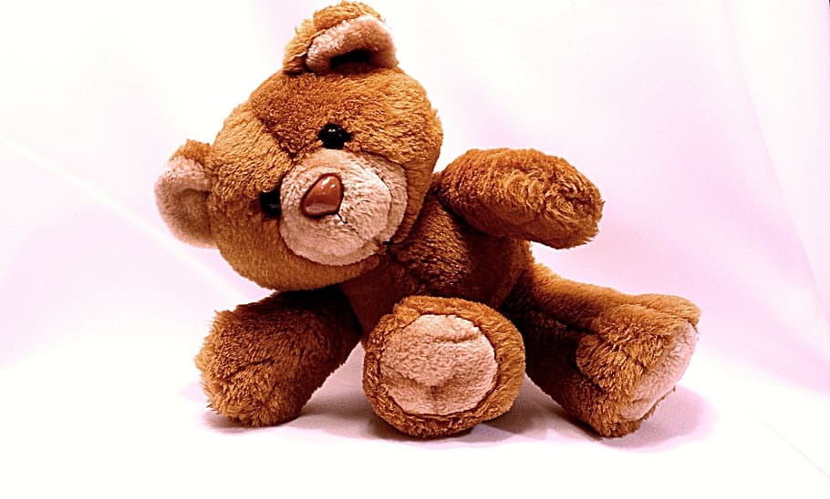 brown bear plush toy, teddy, cute, soft, animal, childhood, furry