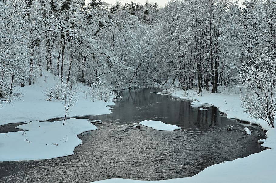 winter, river, landscape, snow, nature, ice, trees, water, cold HD wallpaper