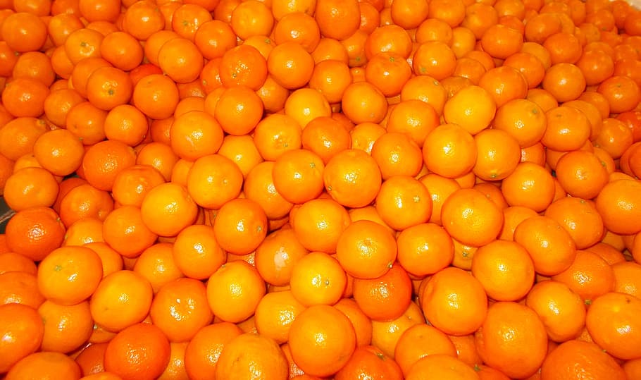 bunch of orange fruits, orange color, full frame, food and drink HD wallpaper
