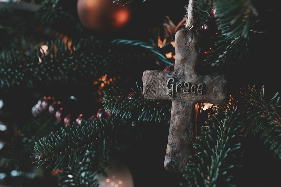 brown cross ornament, grey Grace cross ornament hanged on pine tree HD wallpaper