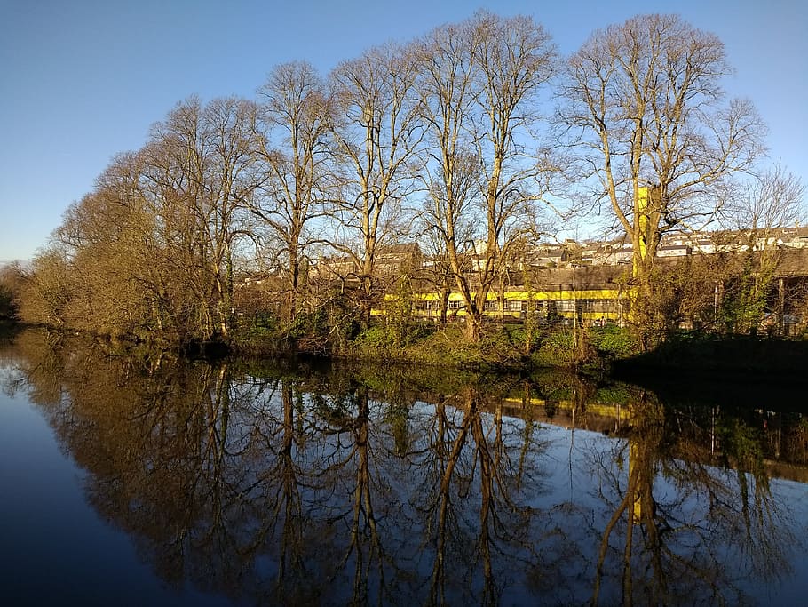 reflection, water, nature, tree, river, landscape, spring, cork HD wallpaper