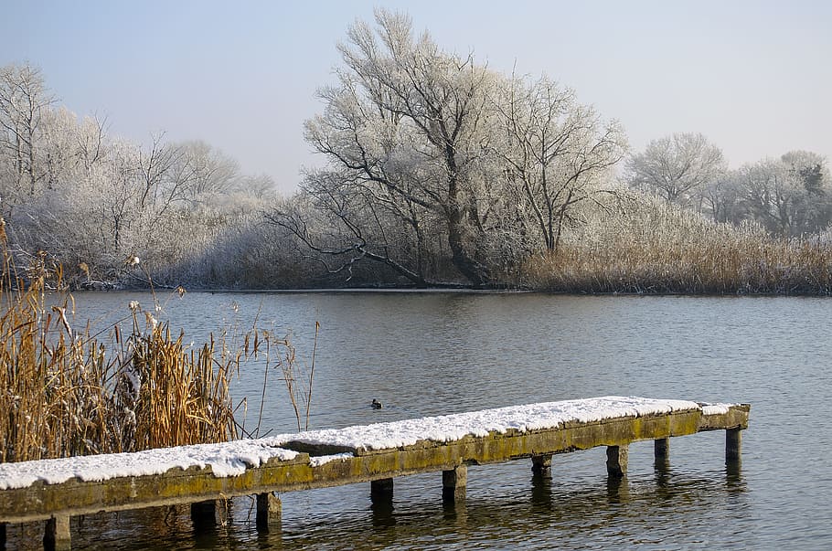 Winter, Cold, Nature, Ice, Snowy, River, snowy landscape, white HD wallpaper