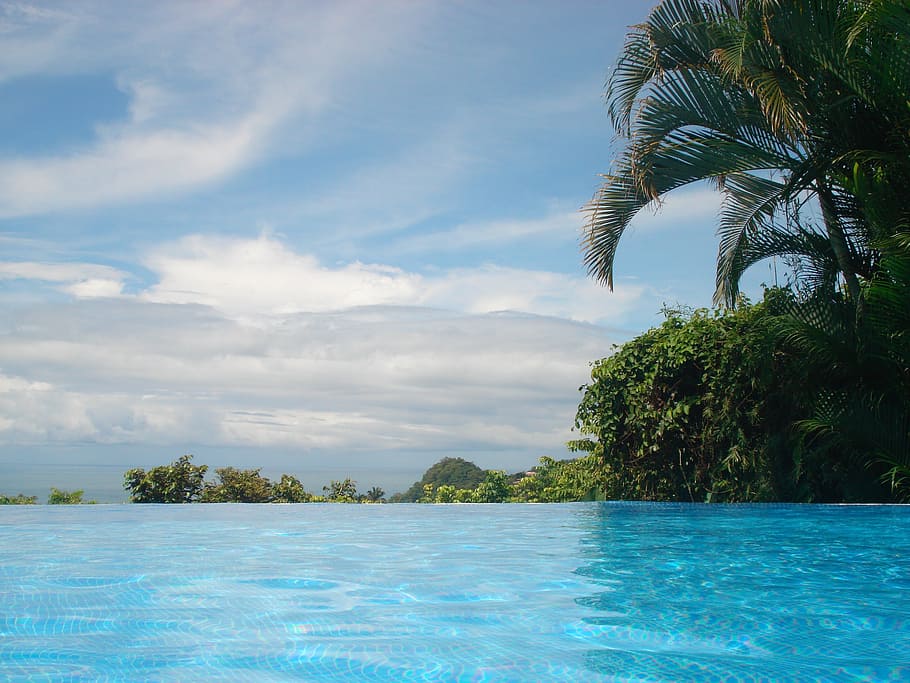 landscape photo of trees near pool, beach, sun, palms, sea HD wallpaper
