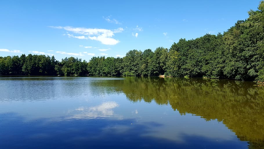 reflection, waters, lake, landscape, tree, river, höhlteich HD wallpaper