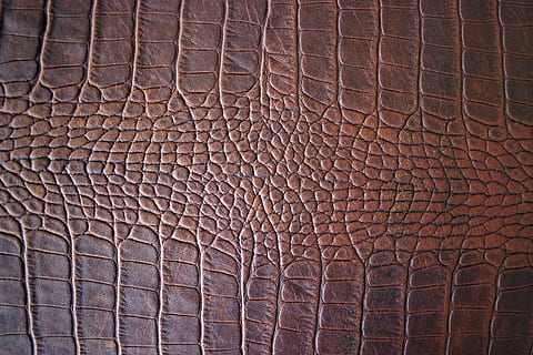 Green alligator leather, skin  Alligator, Leather, Desktop wallpaper black