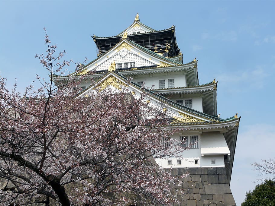 Hd Wallpaper Japan Osaka Castle Chuo Ku Landmark Spring Sakura Flower Wallpaper Flare