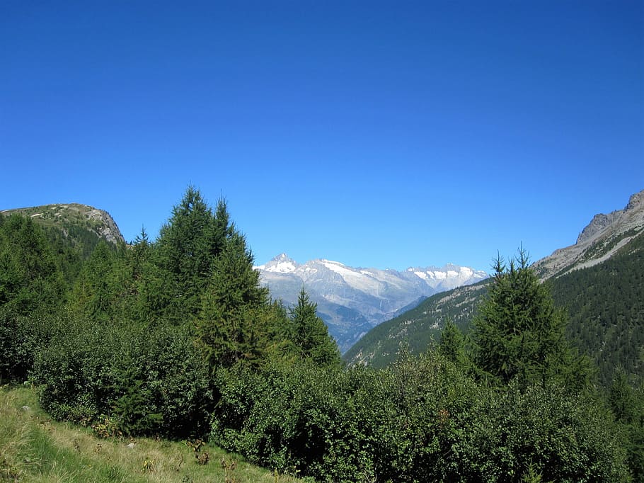 Alpine, Switzerland, Nature, summer, landscape, swiss alps, HD wallpaper