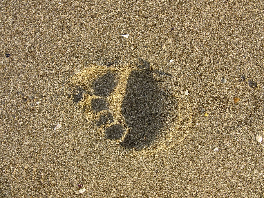 footprint, sand, run, trace, beach, barefoot, land, high angle view HD wallpaper