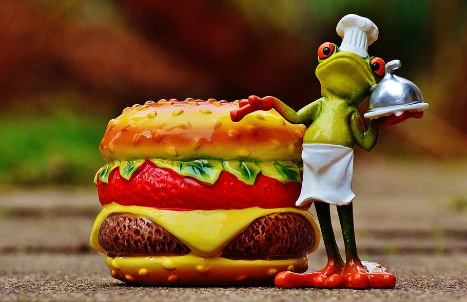 Hamburger, Cheeseburger, Cooking, Frog, funny, food, preparation HD wallpaper