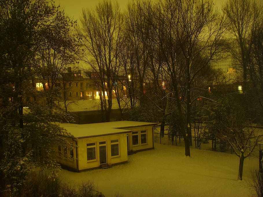 winter, impression, germany, night, outdoor, white, cold, park HD wallpaper