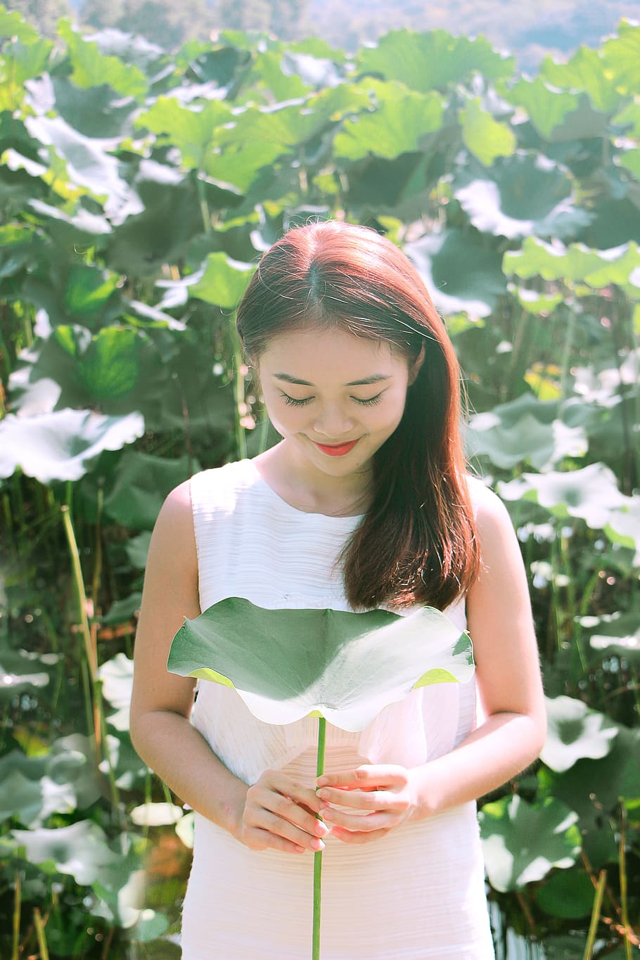 classical, lotus, beauty, one person, standing, front view HD wallpaper