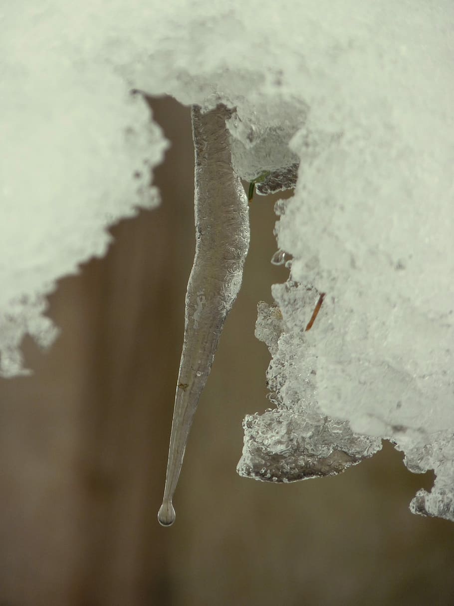 Icicle, Winter, Cold, Ice, Frozen, Frost, white, icy, iced HD wallpaper