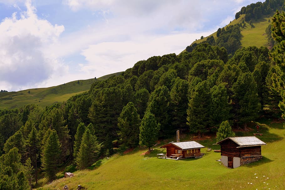 baita, prato, mountain, tree, forest, sky, green, nature, plant HD wallpaper